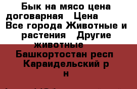 Бык на мясо цена договарная › Цена ­ 300 - Все города Животные и растения » Другие животные   . Башкортостан респ.,Караидельский р-н